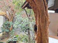 -古今茶语·峨眉山有机茶体验馆