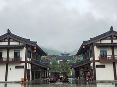 -大唐贡茶院