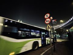 -新疆阿力烧烤
