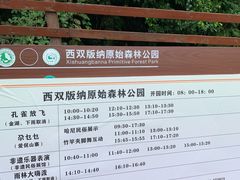 -西双版纳原始森林公园