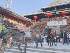 -藏龙百瀑风景区