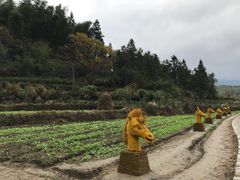 -塔川景区