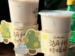 -猫的魔法密林(衣裳街店)