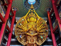 -上海东林寺(金山区)