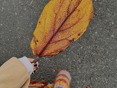 -厦门园林博览苑