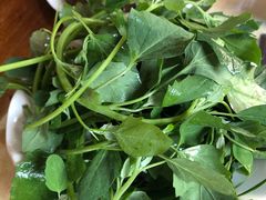 克妈叶野菜-顺顺小吃(独克宗古城店)
