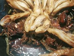 -华盛园卷子王农家菜水库鱼
