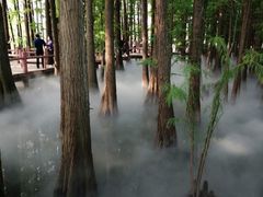 -东湖落雁景区