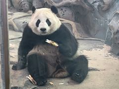 -武汉动物园