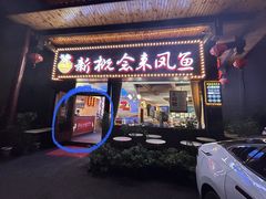 -新概念来凤鱼(璧山店)