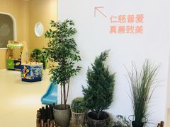 -绿城奇妙园双语日托(华茂悦峰园区)