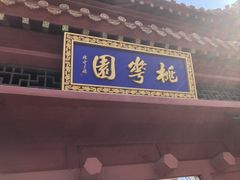 -桃花堤公园