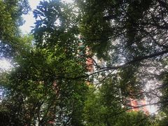 -世纪同乐绿地世纪城二期