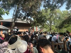 -沂蒙山旅游区云蒙景区(蒙山国家森林公园)