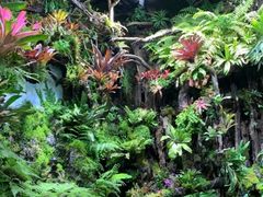 -漫步水族(金源珠宝古玩城店)