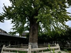 -常熟方塔园