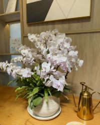 -百秀名媛纹绣美学护肤中心