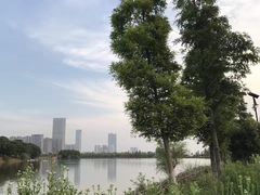 -艾溪湖湿地公园