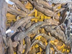 -龙宴海鲜城(经中路店)