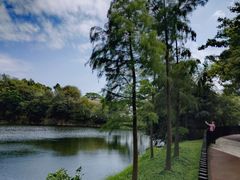 -王借岗森林公园