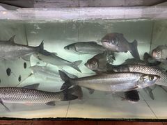-西江河鲜·趣苑酒楼(鼎湖牌坊店)