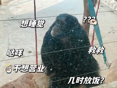 -太原动物园