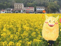 -泽雅景区