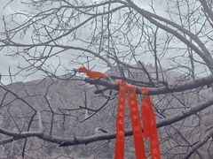 -秦岭终南山世界地质公园翠华山景区