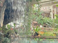 -正佳雨林生态植物园