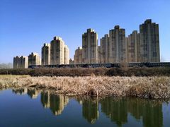 -前关湿地公园