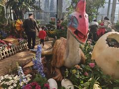 -沈阳植物园
