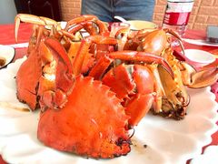 -大嶝岛景霞大排档