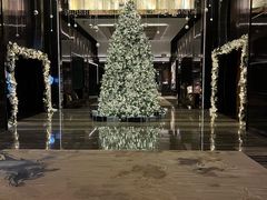 -OZONE 顶楼酒吧(香港丽思卡尔顿酒店)