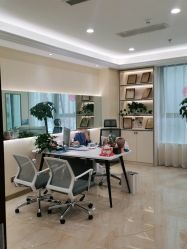 -碧莲盛·不剃发植发