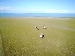 -青海湖国家重点风景名胜区
