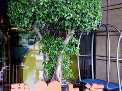 -上海外滩英迪格酒店