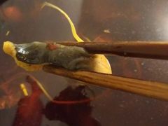 -仔耳朵冷锅鱼蛙芋儿鸡(莲花东路店)