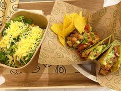 -油梨树 AVOCADO TREE(亮马桥店)