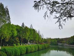 -东水关遗址公园