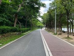 -凤岗南门山森林公园