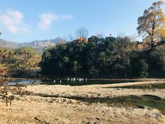-绩溪龙川景区