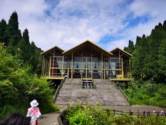 -武陵山森林公园