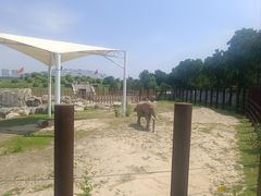 -太原动物园