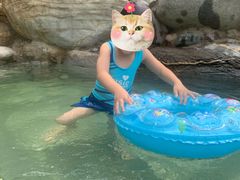 -仁爱团泊湖温泉中心