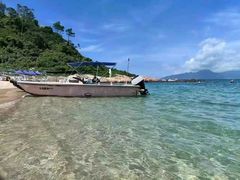 -广东惠东海龟国家级自然保护区