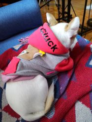 -椿树下·Tattoo纹身工作室