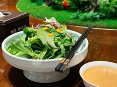 -泰康之家·申园