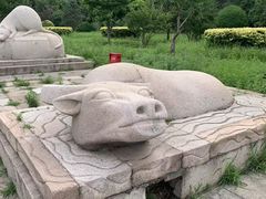 -北京十三陵国家森林公园蟒山景区