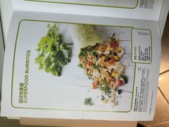 -油梨树AVOCADO TREE(顺义新国展店)