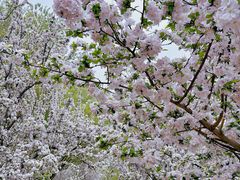 -元大都城垣遗址公园